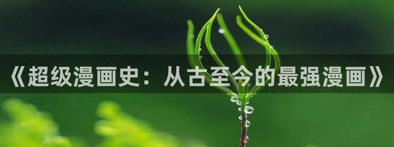 满怀美梦的少年是现实主义者抖漫：《超级漫画史：从古至今的最强漫画》