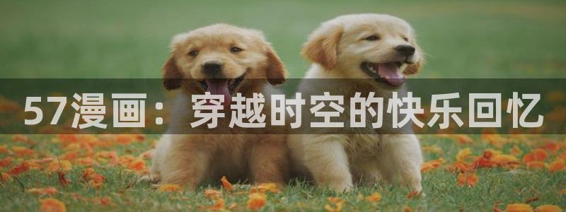 抖漫僧侣之夜第一集：57漫画：穿越时空的快乐回忆