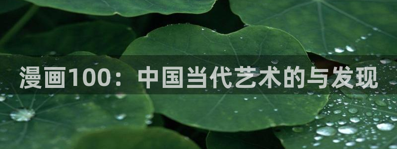 抖漫死亡笔记：漫画100：中国当代艺术的与发现